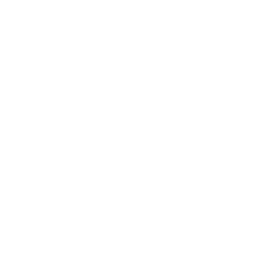 Included feature checkmark
